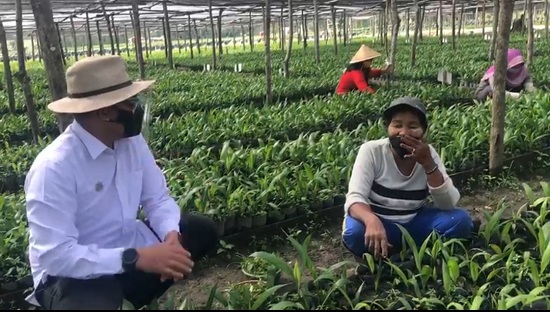 Kisah Ibu-ibu di Bibitan Sawit PTPN V, Mengangkat Ekonomi Di Tengah Pandemi 